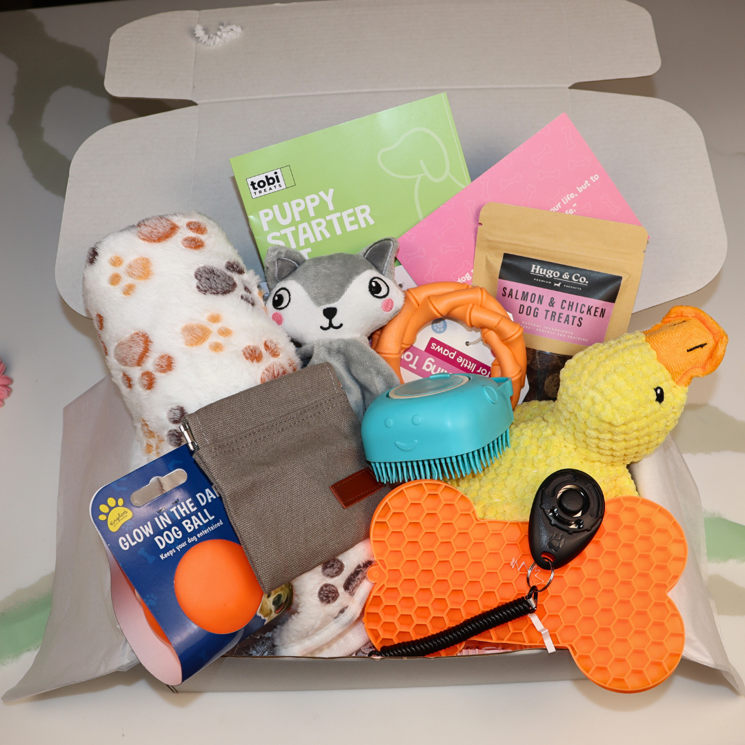 THE NEW PUPPY BOX