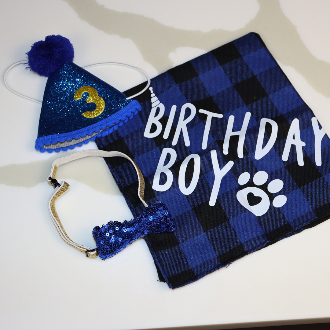 THE BIRTHDAY BOX