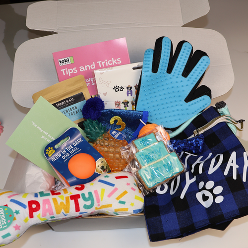 THE BIRTHDAY BOX