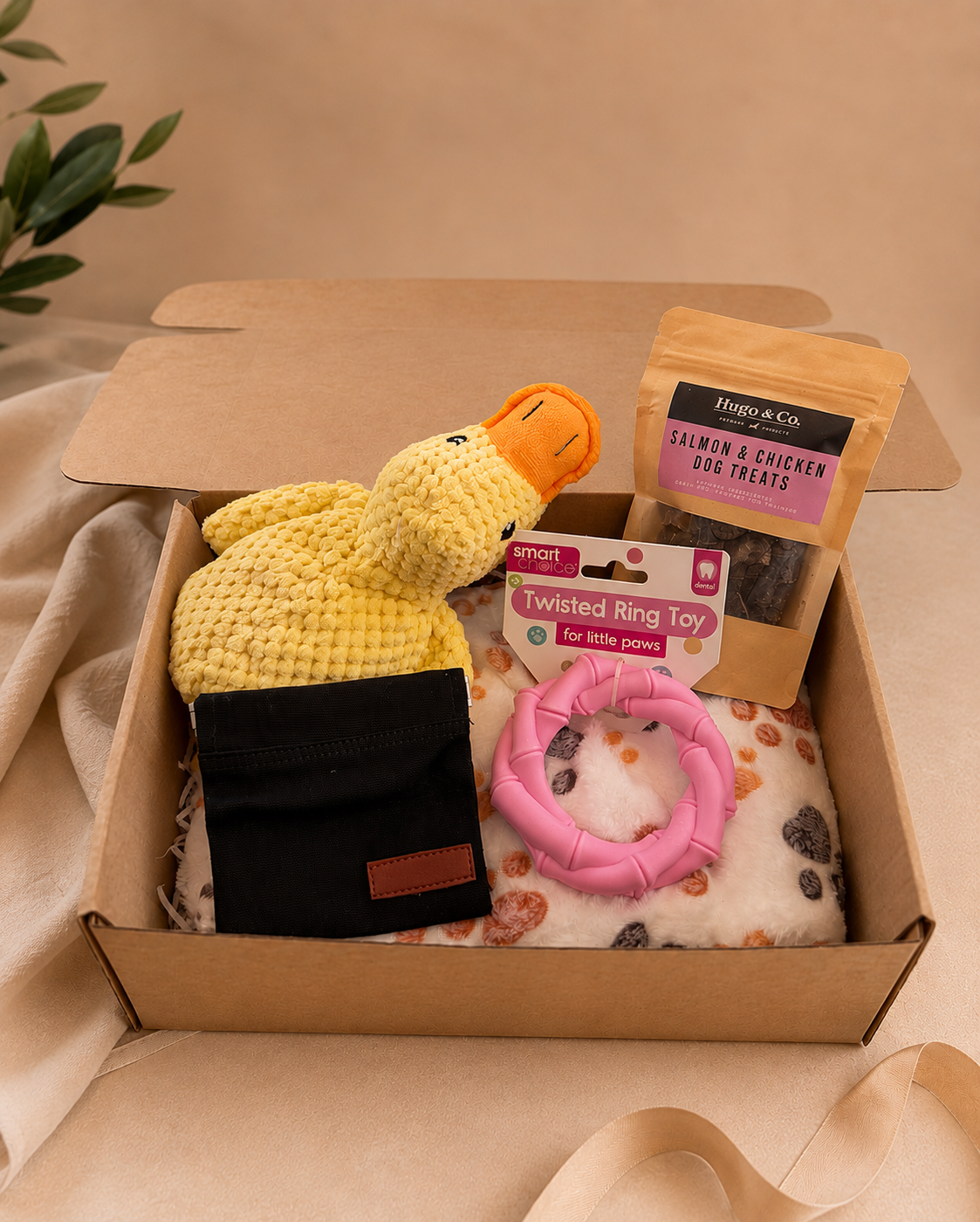 Mini Puppy Box
