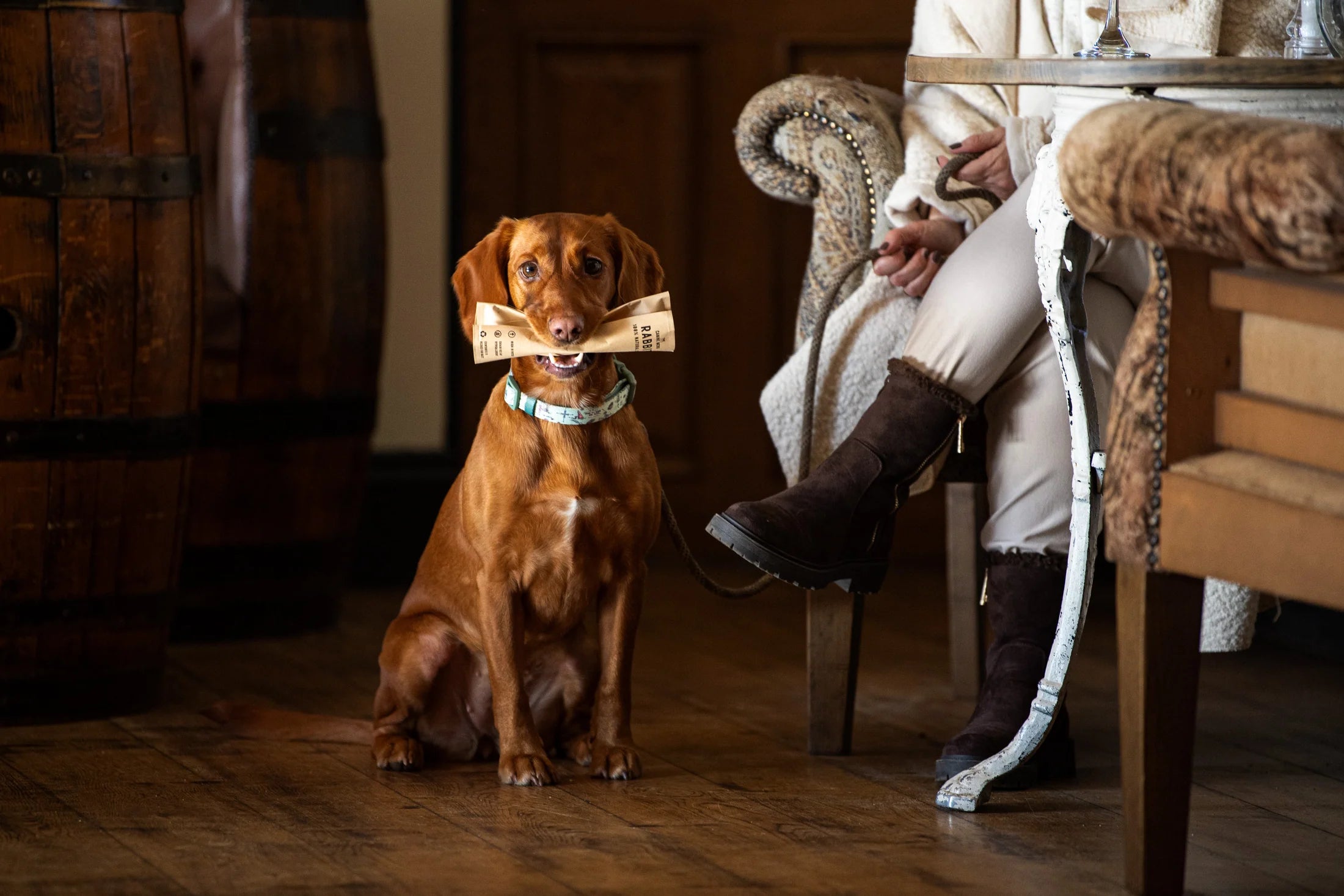The Canine Menu Rabbit Dog Chew