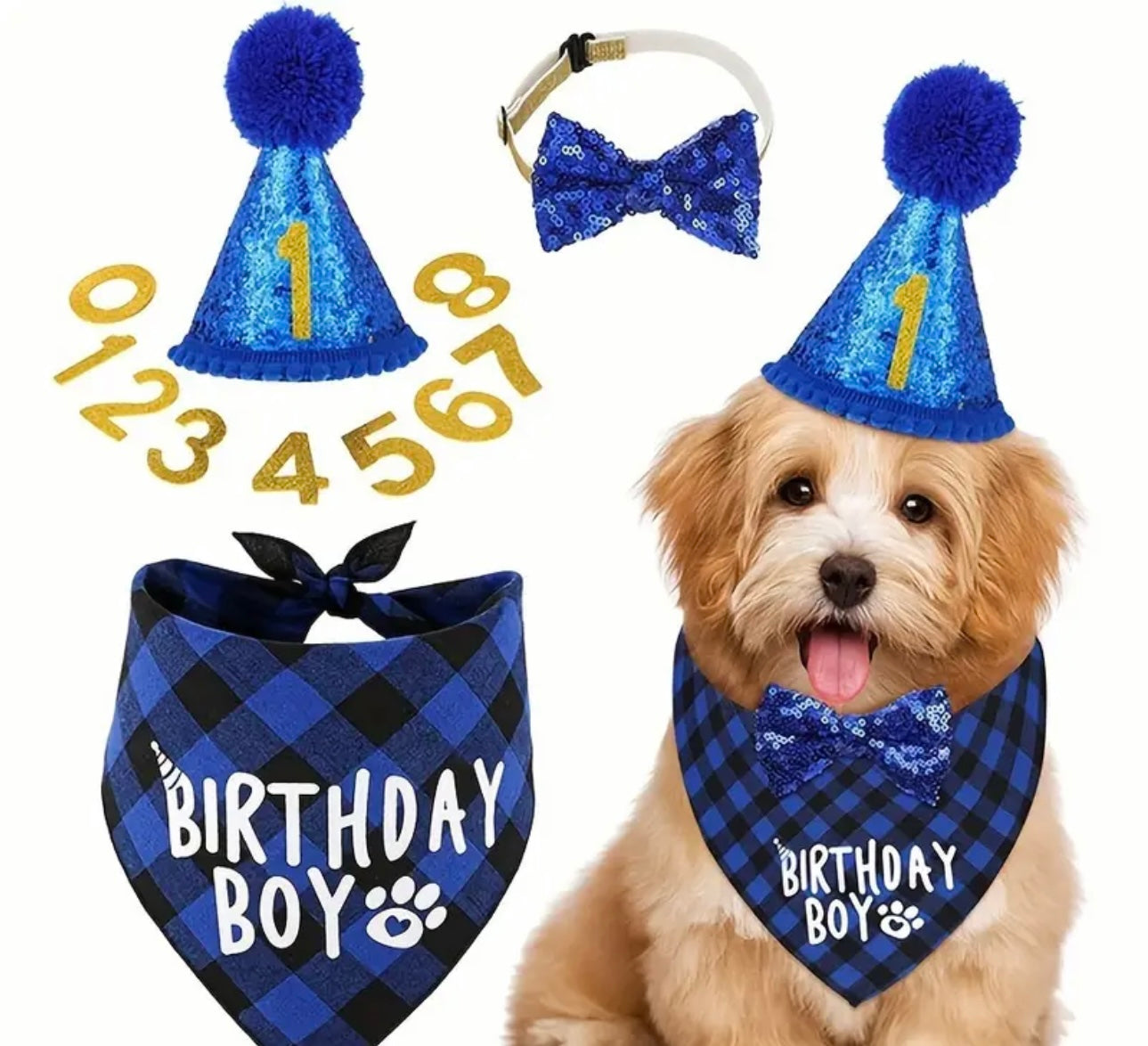 Blue birthday accessories