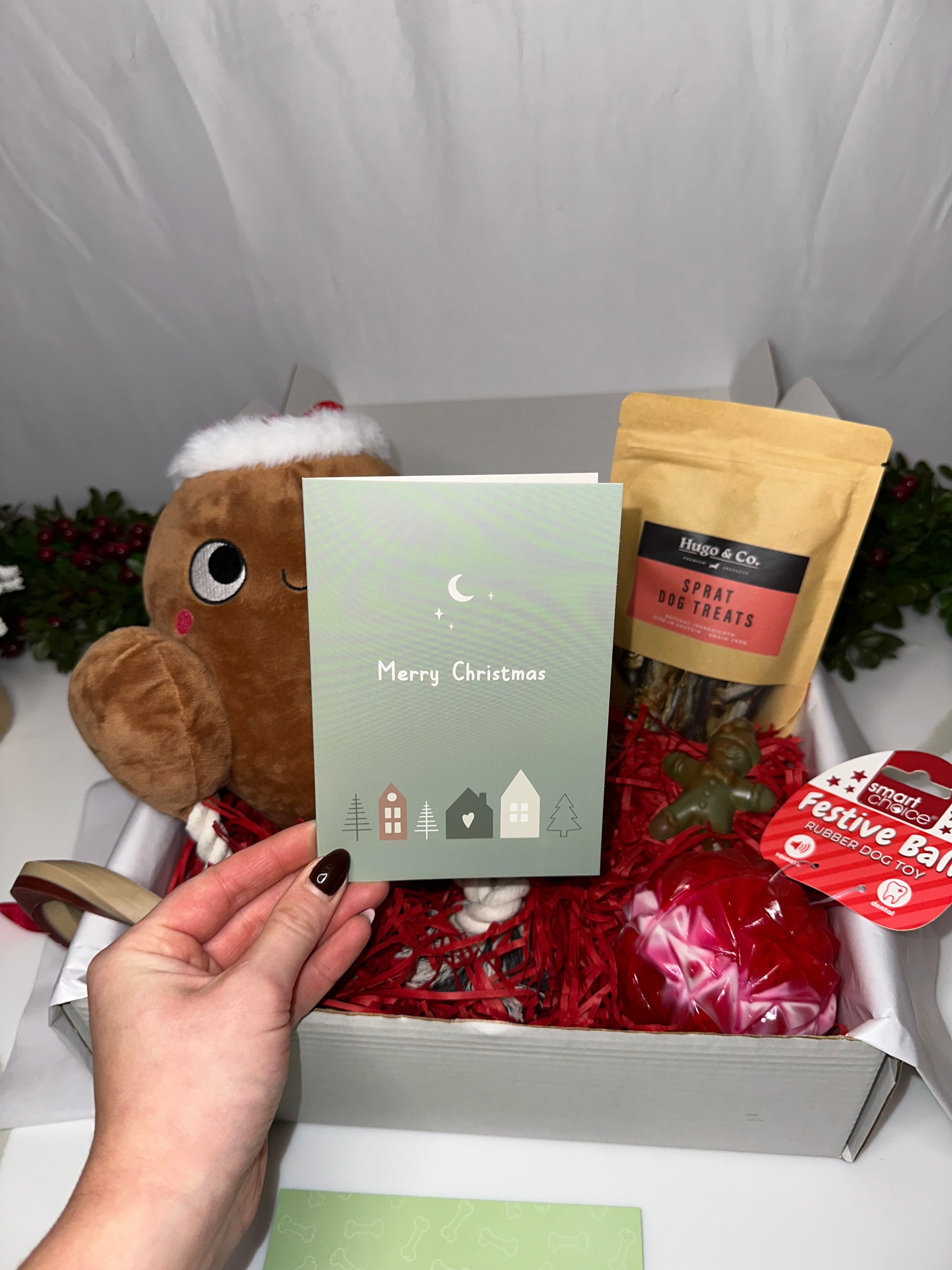 Build Your Own - Mini Box