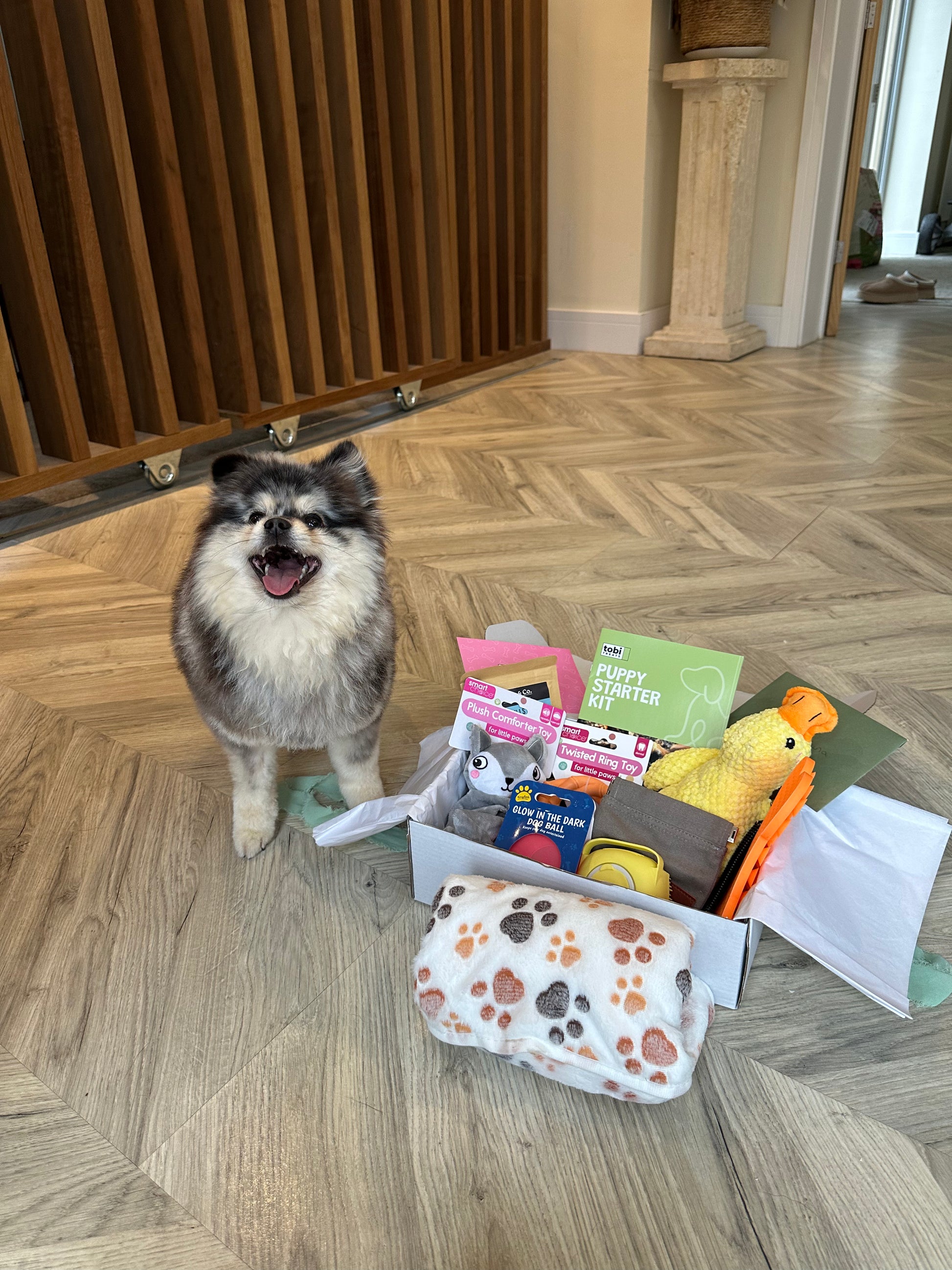 THE NEW PUPPY BOX