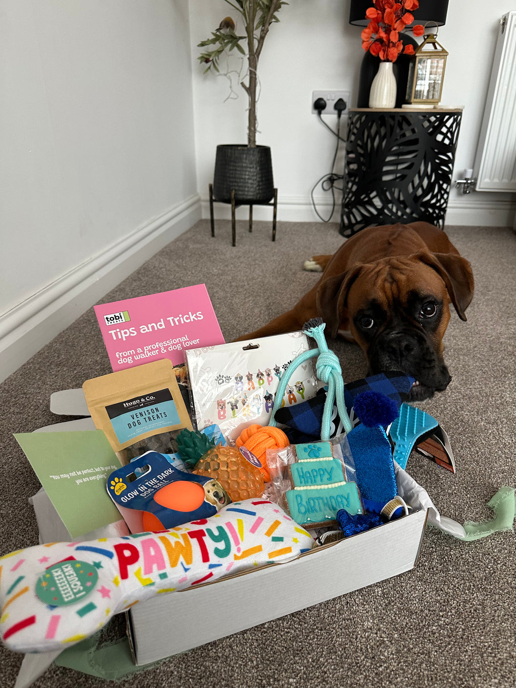 THE BIRTHDAY BOX