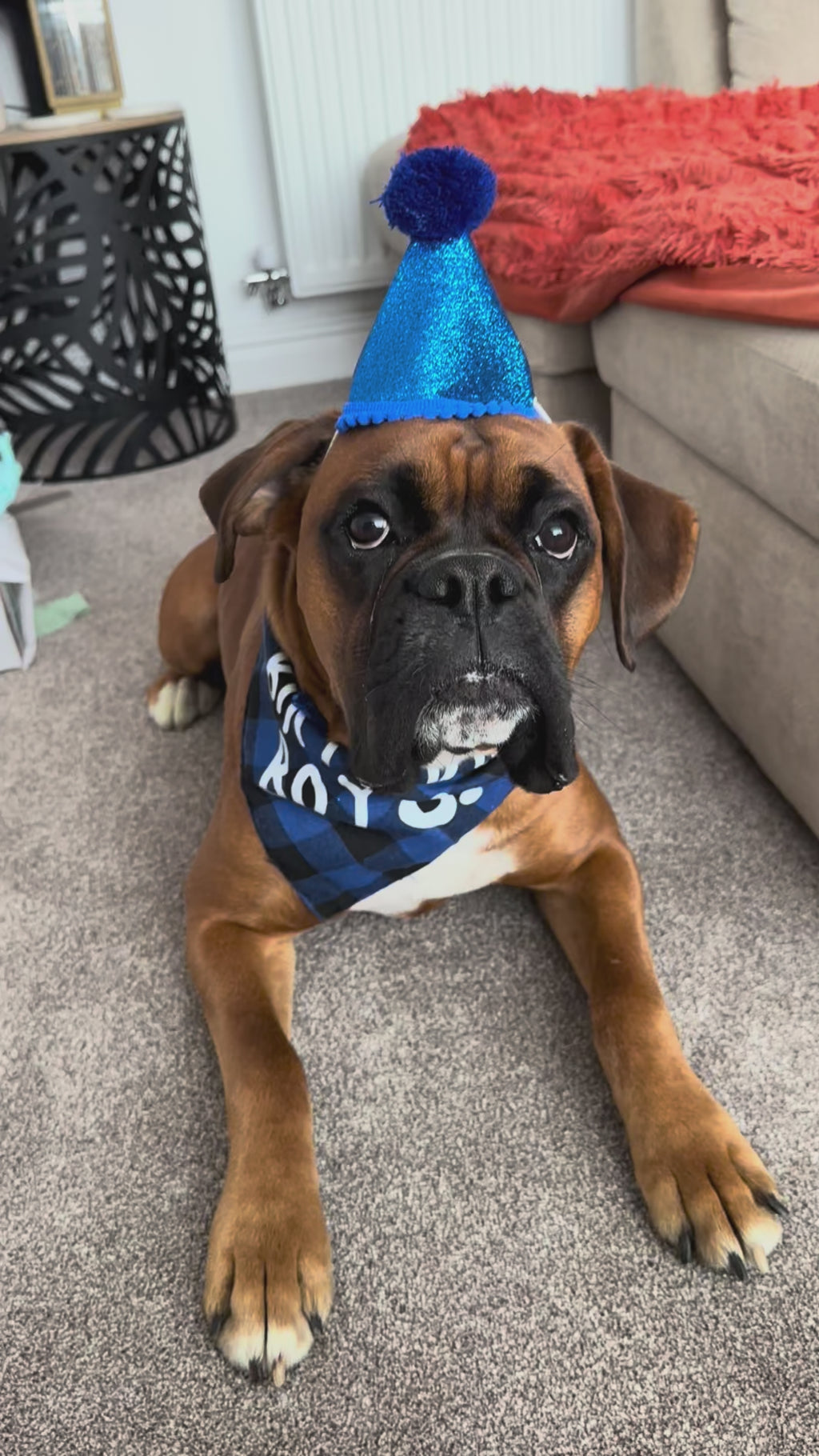THE BIRTHDAY BOX